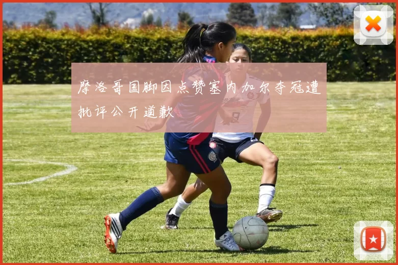 摩洛哥国脚因点赞塞内加尔夺冠遭批评公开道歉