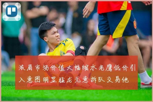 浓眉市场价值大幅缩水老鹰低价引入意图明显猛龙无意拆队交易他